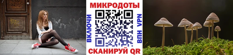 Псилоцибиновые грибы Psilocybine cubensis  магазин  наркотиков  KRAKEN вход  Чкаловск 